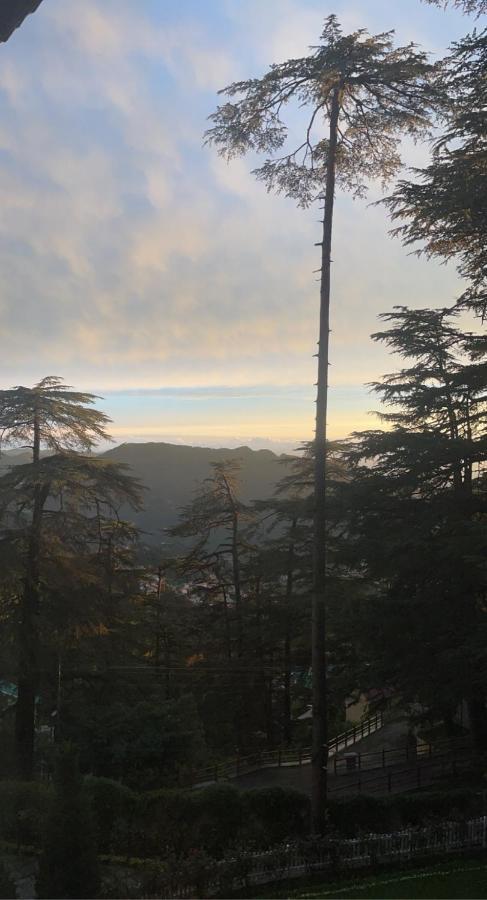 Bed and Breakfast The Edgeworth Shimla Exterior foto